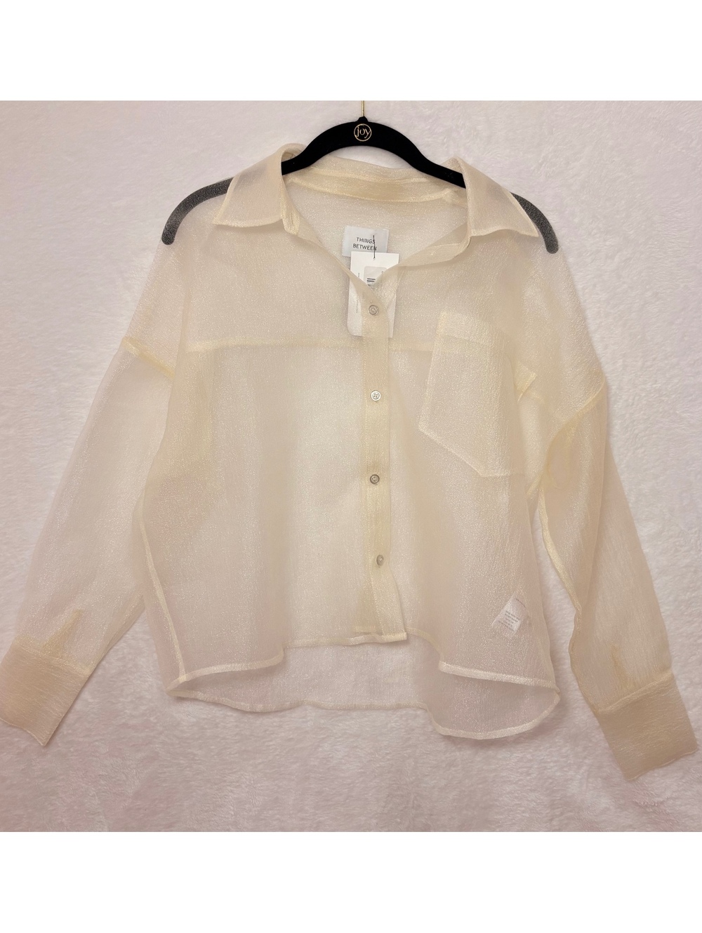 Things Between Small Champagne Sheer Button Down Blouse NWT Collared Long Sleeve